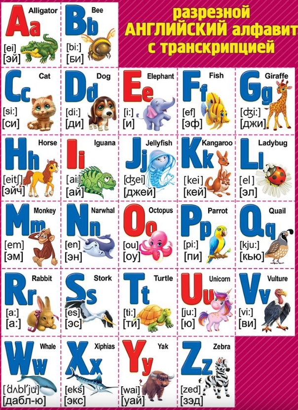 Плакат Английский алфавит разрезной с транскрипцией, 0800994