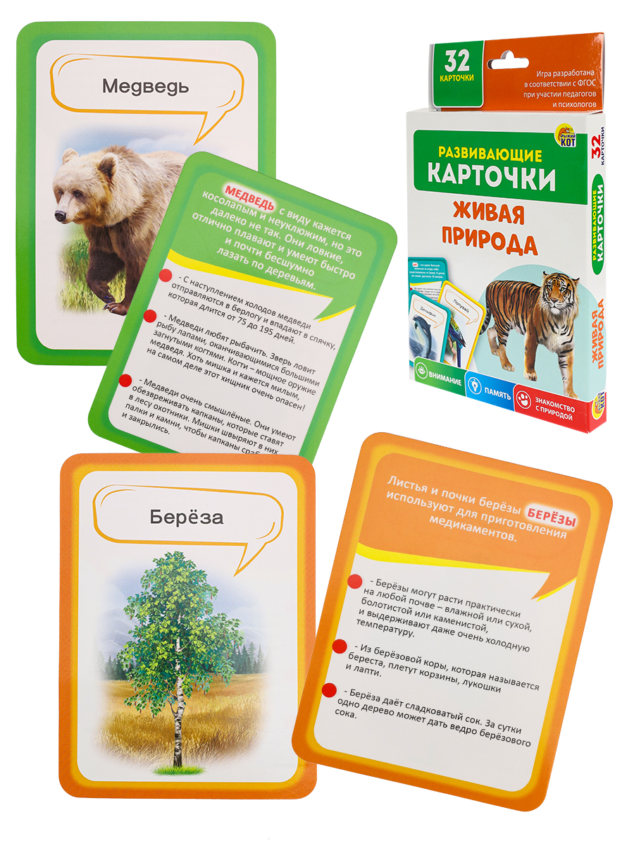 Развивающие карточки- Живая природа, ИН-4878