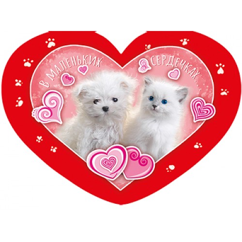 _______166_5faa9466d7c96-500x500